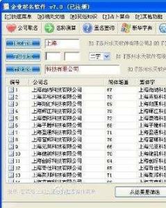 企業(yè)起名軟件