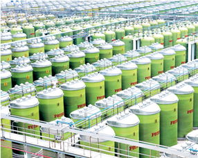 卓越品質 李錦記